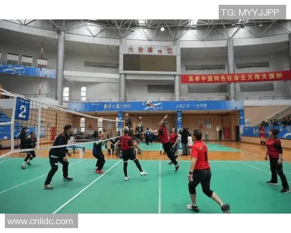 南京排球队的精神探秘与排球文化的深度融合之旅