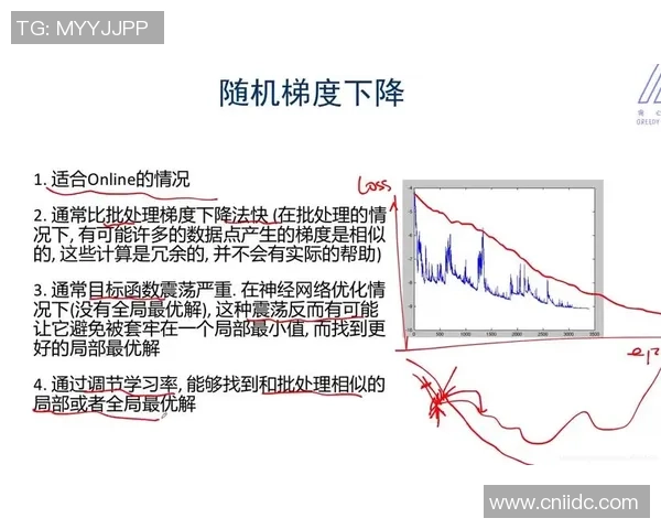 广州网球队运营分析：成功经验与面临挑战的深度探讨