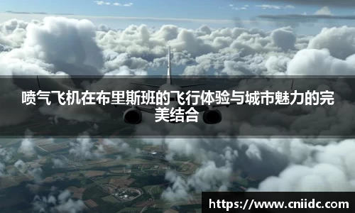 喷气飞机在布里斯班的飞行体验与城市魅力的完美结合