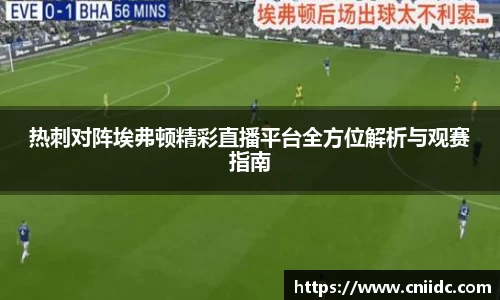 热刺对阵埃弗顿精彩直播平台全方位解析与观赛指南